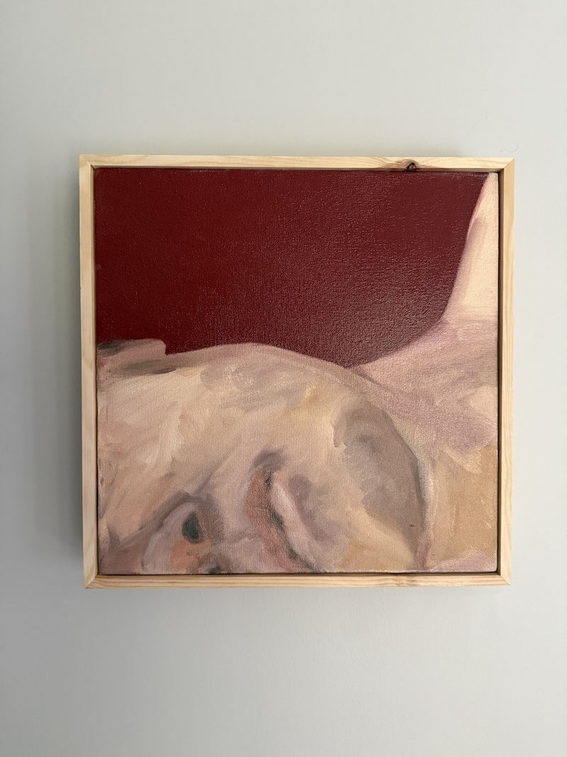 Blush, oil on canvas